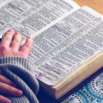 afan-segun-la-biblia-y-su-aplicacion-diaria