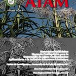 amitai-en-la-biblia-su-relevancia-historica