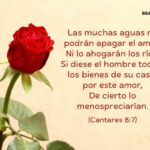 amor-en-la-biblia-cuantas-veces-aparece