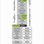arbol-genealogico-de-aman-en-la-biblia