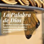 ciencia-en-la-biblia-su-importancia-en-tu-vida-espiritual