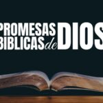 citas-biblicas-para-fortalecer-la-familia-segun-la-biblia-catolica