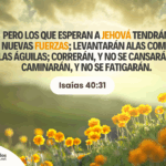 conoce-el-significado-de-saeta-en-la-biblia-y-fortalece-tu-fe