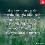 de-lo-vil-y-menospreciado-escogio-dios-para-avergonzar-a-los-sabios-reina-valera