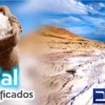 descubre-el-significado-biblico-de-los-suenos-con-pan