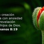 descubre-la-belleza-del-paraiso-segun-la-biblia