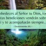 descubre-la-verdadera-felicidad-segun-la-biblia