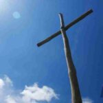descubre-lo-que-la-biblia-ensena-sobre-las-hormigas-y-su-sabiduria