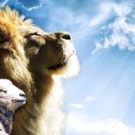diferencia-entre-cordero-y-oveja-en-la-biblia