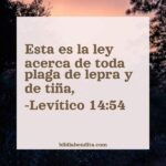 el-estigma-en-la-biblia-su-significado-y-relevancia