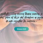 el-hijo-del-hombre-no-tiene-donde-recostar-su-cabeza