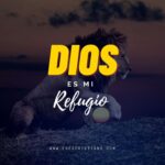 el-leon-en-la-fe-cristiana-simbolismo-biblico