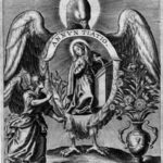 el-olivo-en-la-biblia-significado-y-simbolismo-religioso