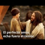el-perfecto-amor-echa-fuera-el-temor
