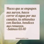 el-poder-de-la-palabra-de-dios-en-salmo-6511