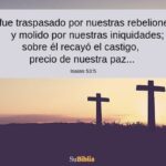 el-simbolismo-de-la-palma-en-la-biblia-significado-y-reflexiones