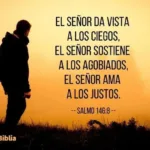 ensenanza-profunda-en-mateo-1521-28-biblia-catolica