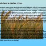 ensenanzas-de-la-parabola-de-la-cizana-y-el-trigo