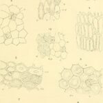 historia-archives-pagina-8-de-9