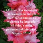 la-biblia-y-el-orgullo-en-tu-vida-cristiana