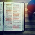 la-historia-de-abigail-y-david-en-1-samuel-25-biblia-hablada