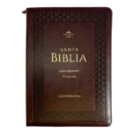 la-historia-de-la-traduccion-de-la-biblia-al-latin-legado-religioso