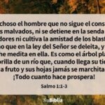 la-importancia-de-la-obediencia-en-la-biblia-bendiciones-divinas