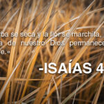 la-palabra-de-dios-es-eterna-isaias-408
