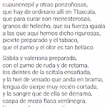 la-sorprendente-presencia-de-los-cactus-en-la-biblia