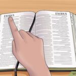 las-abreviaturas-de-la-biblia-para-entender-mejor-su-lectura