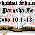 los-diez-mandamientos-segun-la-biblia-de-jerusalen-y-exodo-20