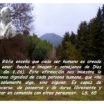 los-diferentes-tipos-de-sabiduria-que-ensena-la-biblia