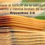 los-versiculos-biblicos-que-hablan-sobre-los-vicios