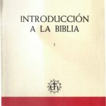 mujer-perseverante-en-la-biblia-inspiracion-divina