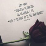 no-te-dejare-ni-te-desamparare-promesa-de-dios-en-la-biblia