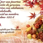 ofrenda-en-la-biblia-significado-e-importancia