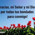oracion-para-dar-gracias-a-dios-por-un-dia-mas