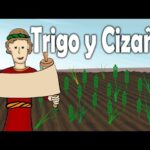 parabola-del-trigo-y-la-cizana