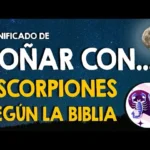 plagas-biblicas-y-su-simbolismo-espiritual