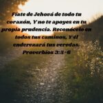 prudencia-en-la-biblia-y-su-aplicacion-en-la-vida-diaria