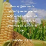 reflexion-sobre-la-cosecha-espiritual-en-la-biblia