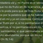 relaciones-entre-primos-segun-la-biblia-una-mirada-desde-la-fe