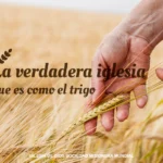 siembra-y-cosecha-segun-la-biblia