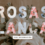 significado-biblico-de-eliana-origen-y-simbolismo