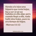 significado-biblico-de-la-higuera-y-su-relevancia-en-la-fe-cristiana
