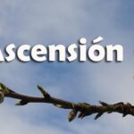 significado-biblico-de-pampano-y-su-simbolismo-en-la-fe-cristiana