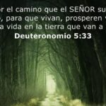 significado-biblico-de-siervo-y-su-aplicacion-practica