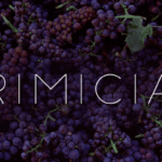significado-biblico-y-relevancia-de-las-primicias