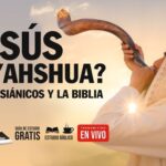 significado-de-ayo-en-la-biblia-y-su-importancia
