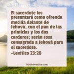 significado-de-las-primicias-en-la-biblia-y-su-importancia-en-la-fe